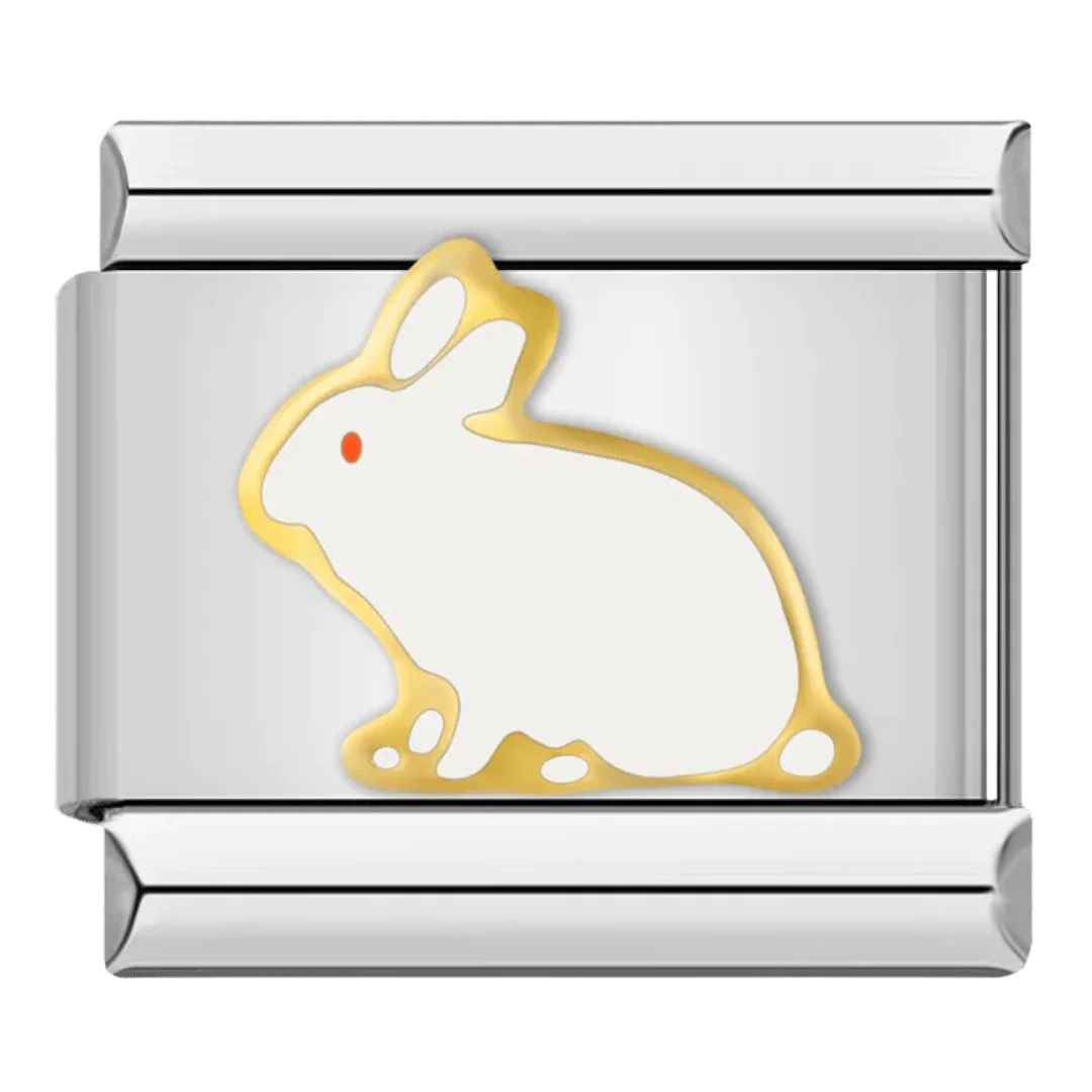 Bunny Charm